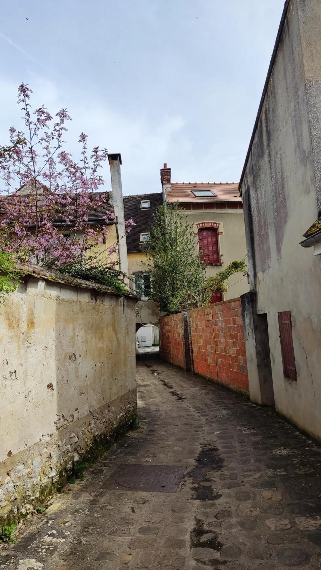 Apartment Romantic - Jardin - Proche Disneyland Paris Crecy-la-Chapelle