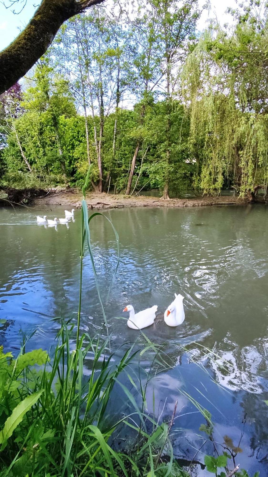 Romantic - Jardin - Proche Disneyland Paris * Crecy-la-Chapelle